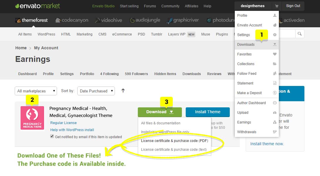 download theme files